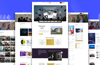 A collage of small website screenshots representing different design styles